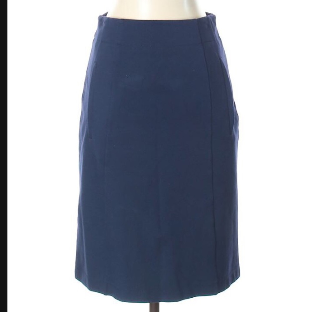 Navy Theory Skirt EUC